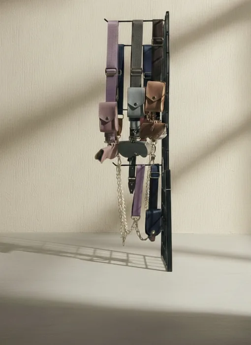 Luxury Accessory Strap Set - image 2